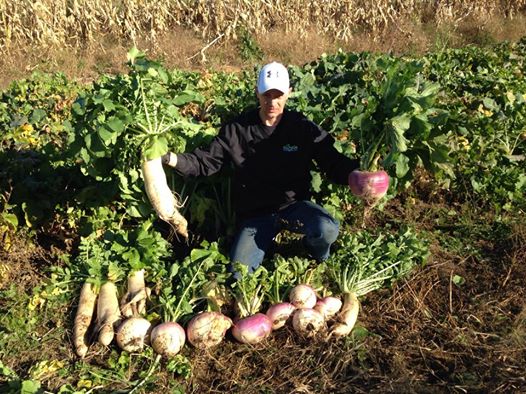 Sweet Feast Brassica Blend