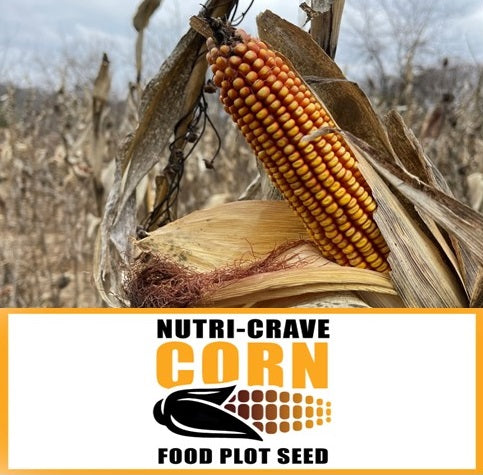 Nutri Crave Corn