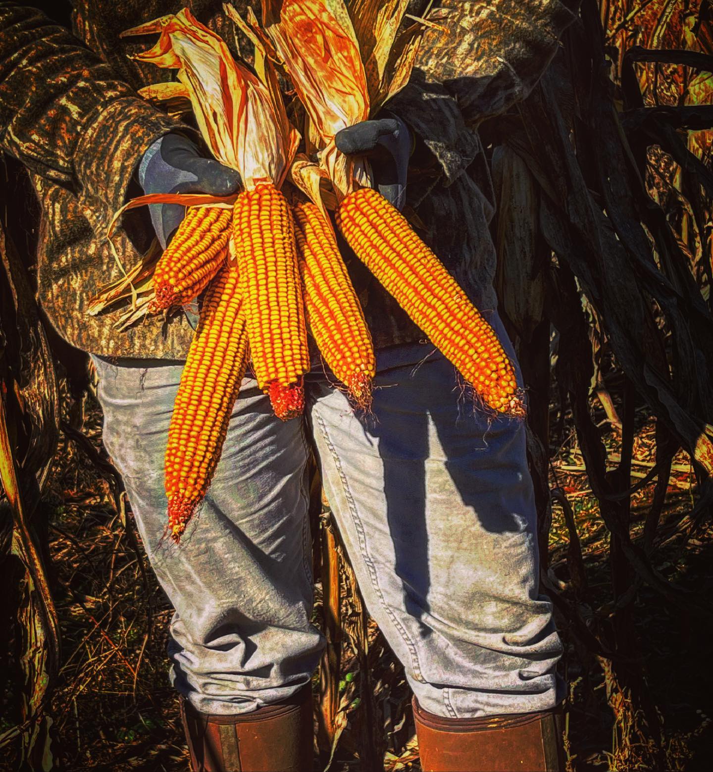 Nutri Crave Corn